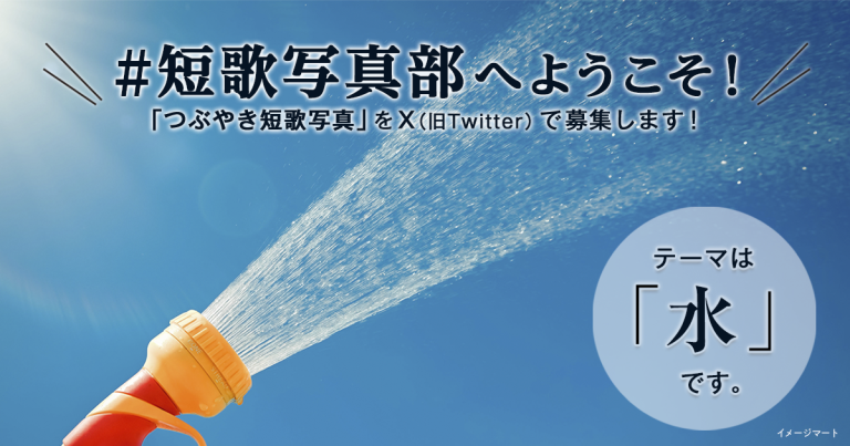 「NHK短歌」テキスト ＃短歌写真部 の参加要項 見出し画像