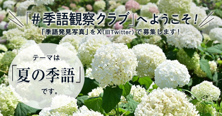 「NHK俳句」テキスト　＃季語観察クラブ　の参加要項 見出し画像