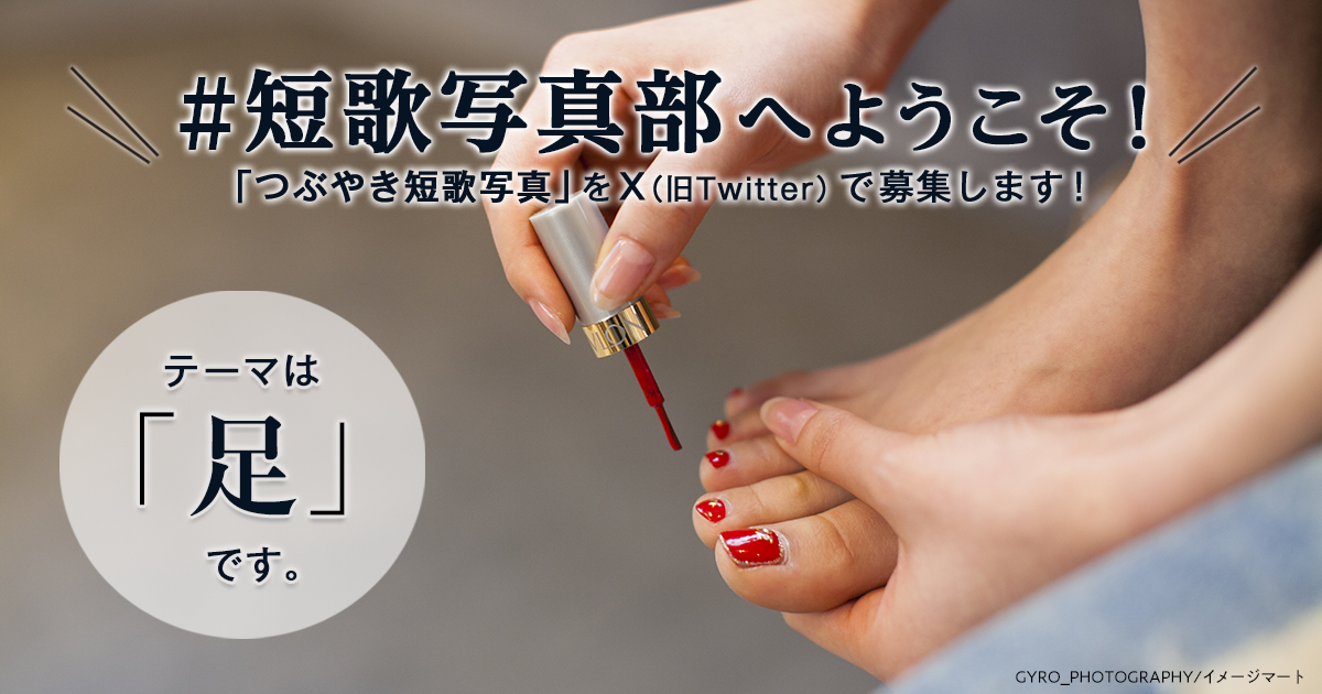 「NHK短歌」テキスト ＃短歌写真部 の参加要項 見出し画像