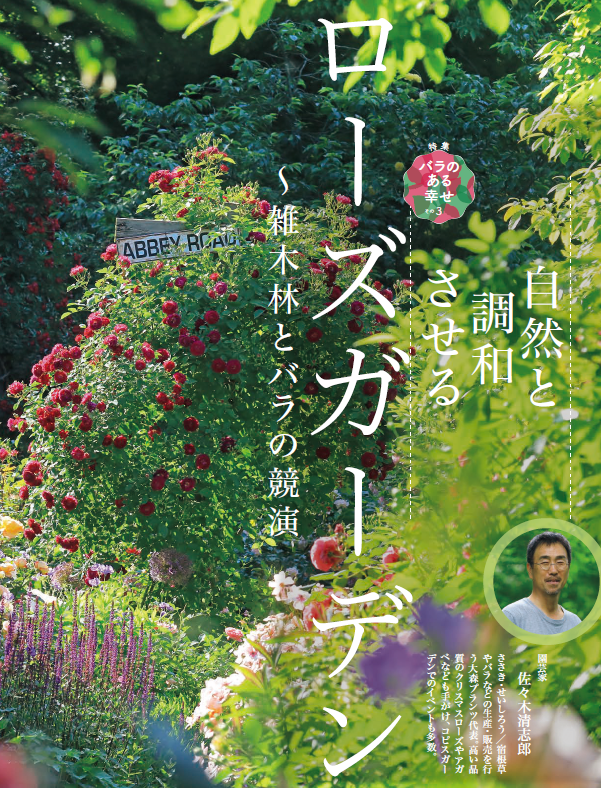 趣味の園芸5月号 特集バラのある幸せ Nhk出版からのお知らせ