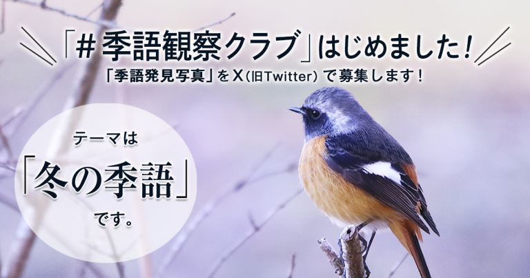 「NHK俳句」テキスト　＃季語観察クラブ　の参加要項 見出し画像