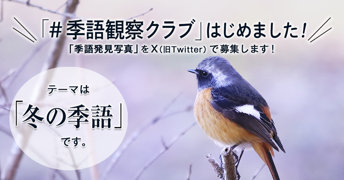「NHK俳句」テキスト　＃季語観察クラブ　の参加要項 見出し画像