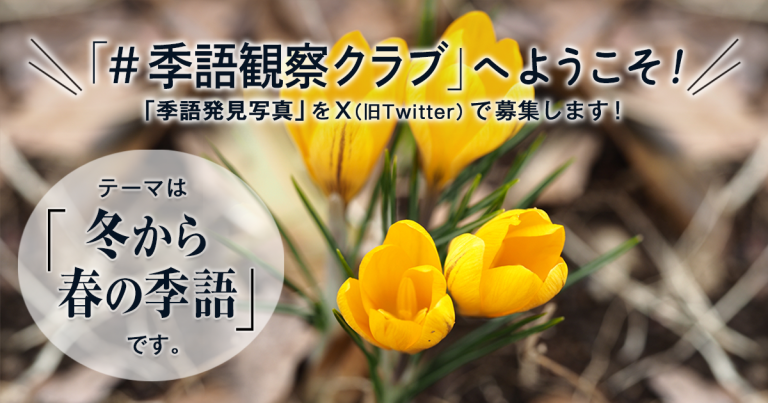 「NHK俳句」テキスト　＃季語観察クラブ　の参加要項 見出し画像