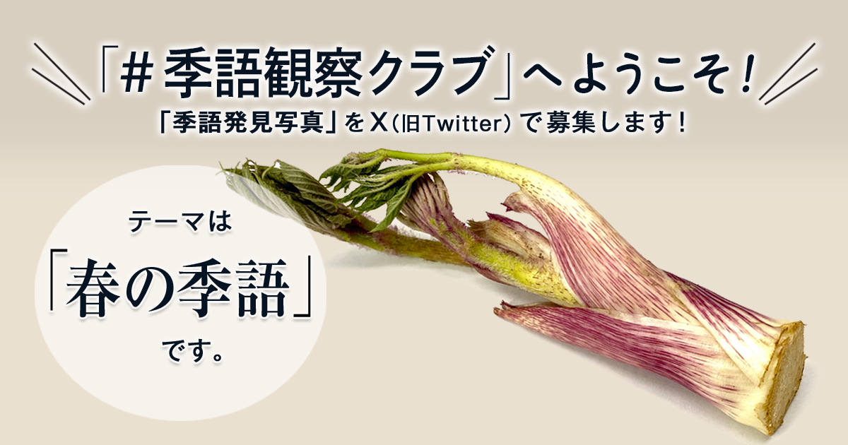 「NHK俳句」テキスト　＃季語観察クラブ　の参加要項 見出し画像