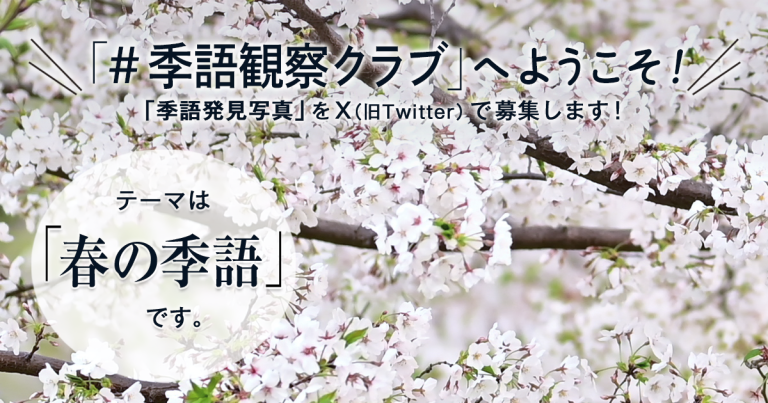 「NHK俳句」テキスト　＃季語観察クラブ　の参加要項 見出し画像