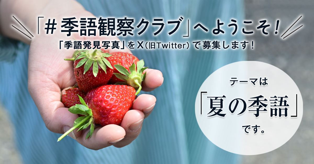 「NHK俳句」テキスト　＃季語観察クラブ　の参加要項 見出し画像