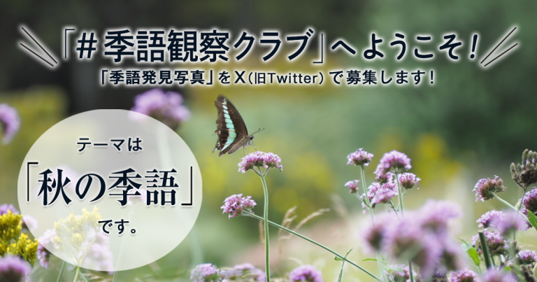 「NHK俳句」テキスト　＃季語観察クラブ　の参加要項 見出し画像