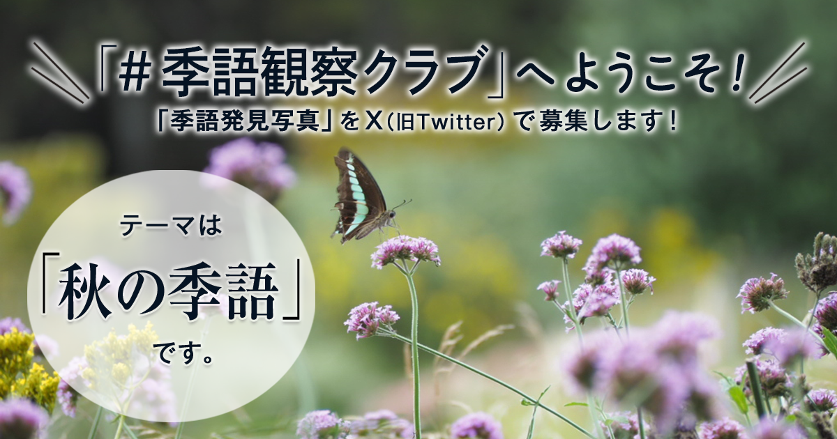 「NHK俳句」テキスト　＃季語観察クラブ　の参加要項 見出し画像