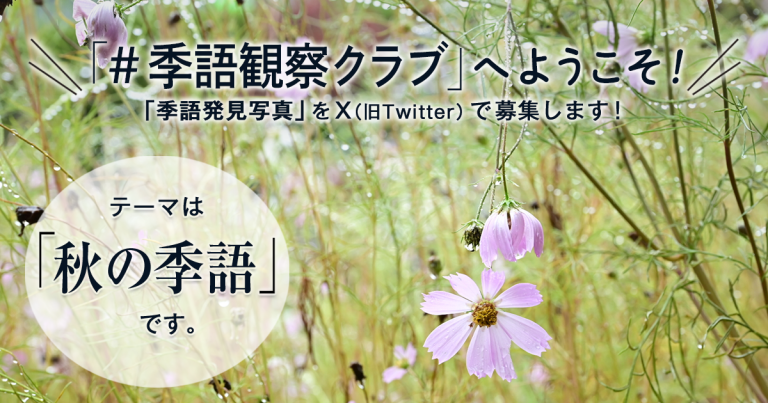 「NHK俳句」テキスト　＃季語観察クラブ　の参加要項 見出し画像