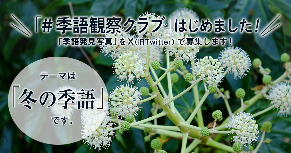 「NHK俳句」テキスト　＃季語観察クラブ　の参加要項 見出し画像