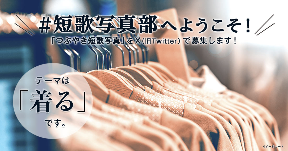 「NHK短歌」テキスト ＃短歌写真部 の参加要項 見出し画像