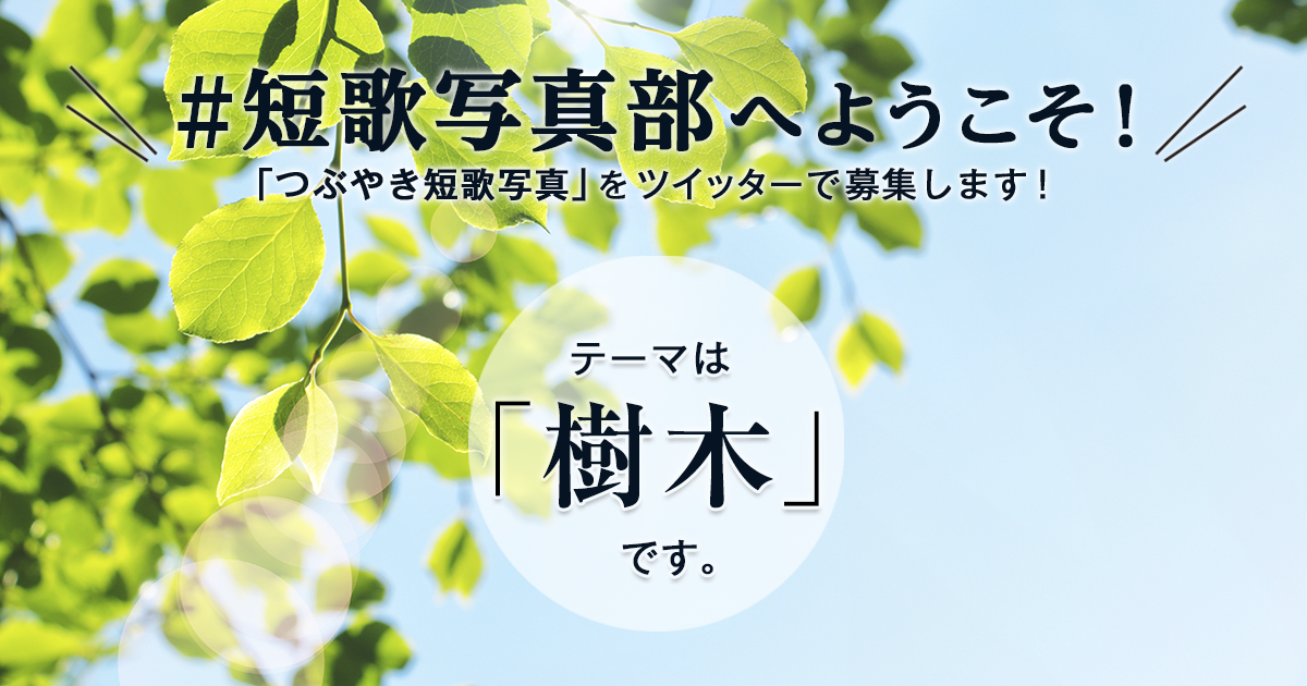 「NHK短歌」テキスト ＃短歌写真部 の参加要項 | NHK出版からのお知らせ