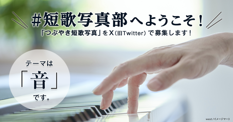「NHK短歌」テキスト ＃短歌写真部 の参加要項 見出し画像