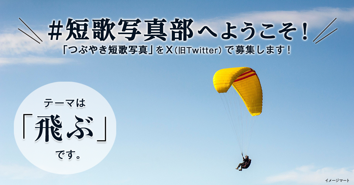 「NHK短歌」テキスト ＃短歌写真部 の参加要項 見出し画像