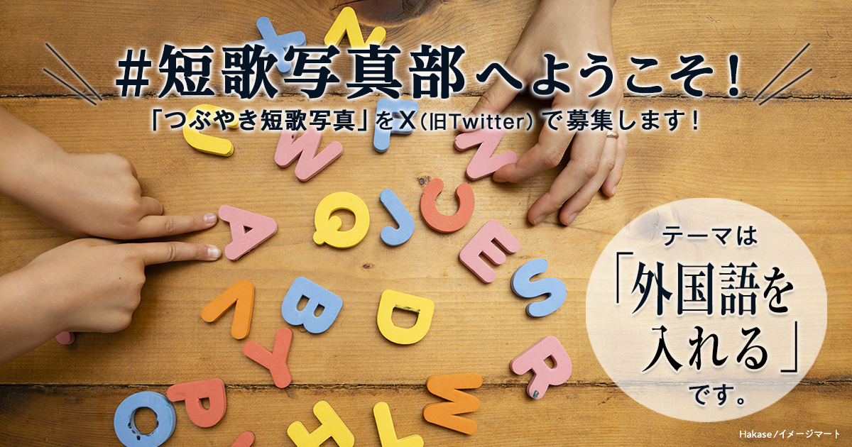 「NHK短歌」テキスト ＃短歌写真部 の参加要項 見出し画像