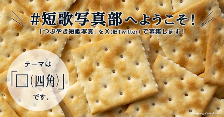 「NHK短歌」テキスト ＃短歌写真部 の参加要項 見出し画像