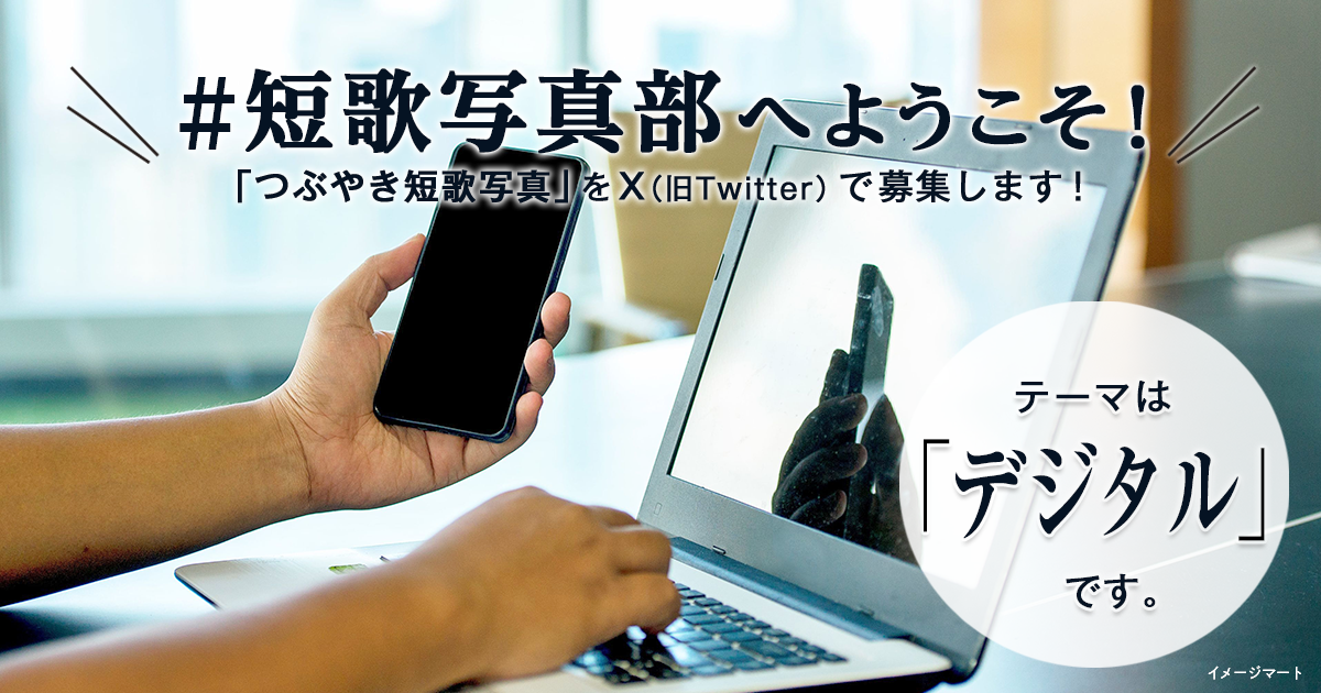 「NHK短歌」テキスト ＃短歌写真部 の参加要項 見出し画像