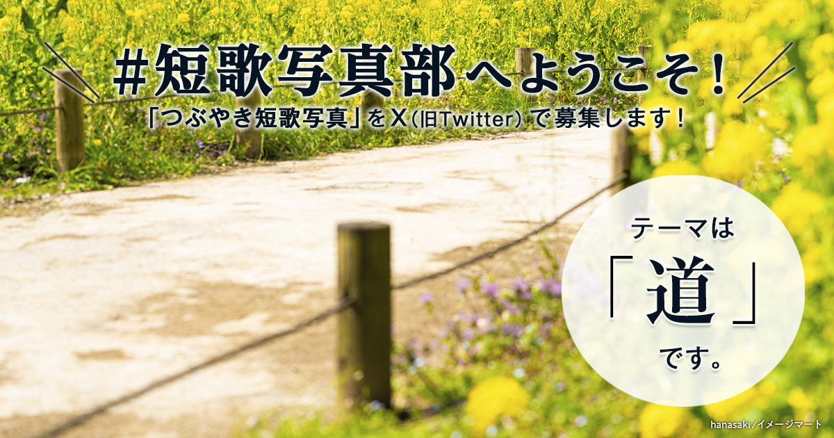 「NHK短歌」テキスト ＃短歌写真部 の参加要項 見出し画像